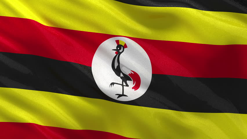 Flag Of Uganda Beautiful 3d Animation Of Uganda Flag In Loop Mode Stock ...