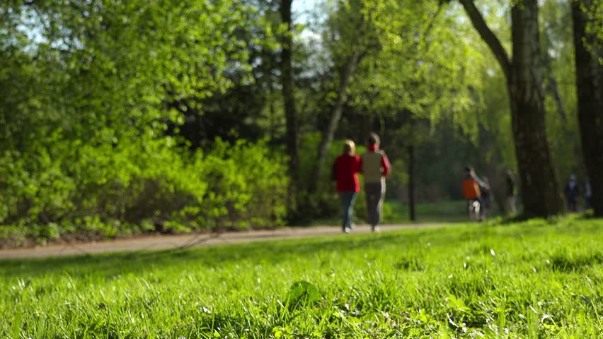 Sunny Weekend Day in Park, Stock Footage Video (100% Royalty-free ...