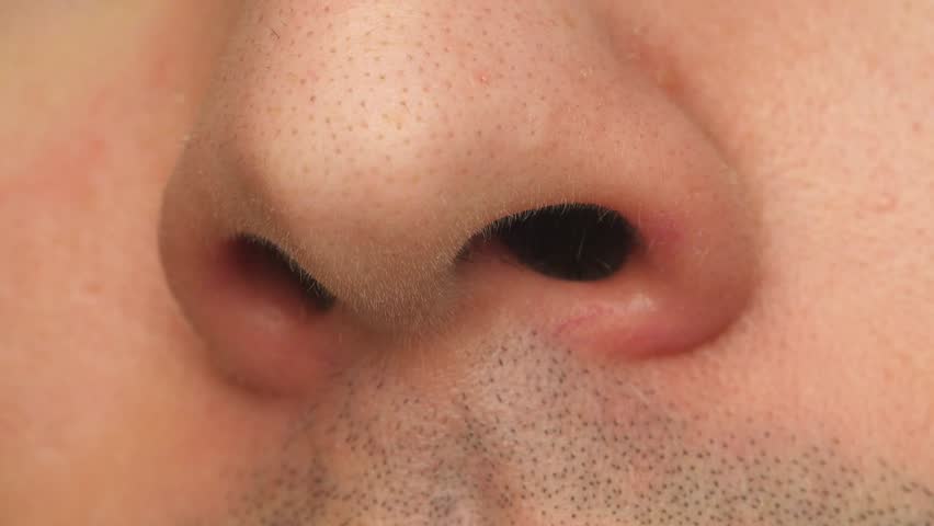 Image result for nose close up