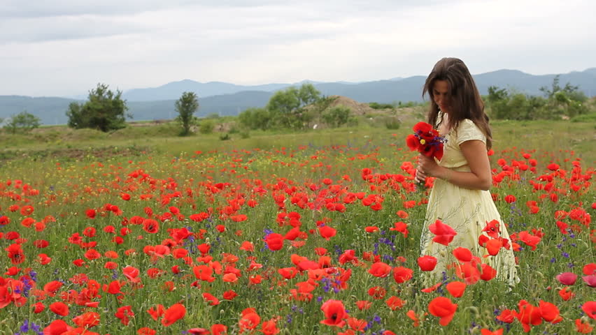 Beautiful Woman Walking Among Blooming Poppy Flowers. Beautiful Woman ...