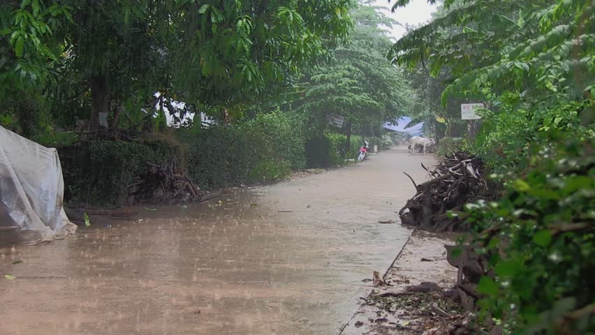 Image result for village rain