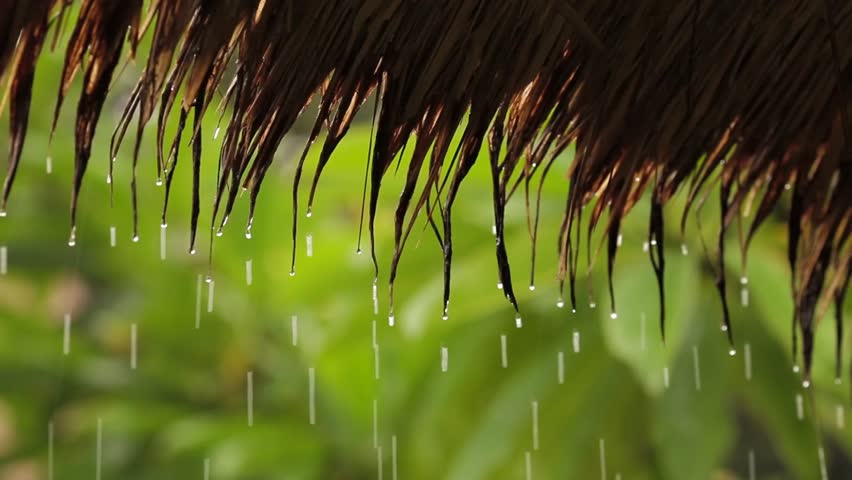 Tropical Rainfall in Monsoon Season. Stock Footage Video ...