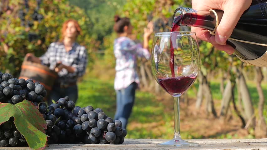 Header of grape