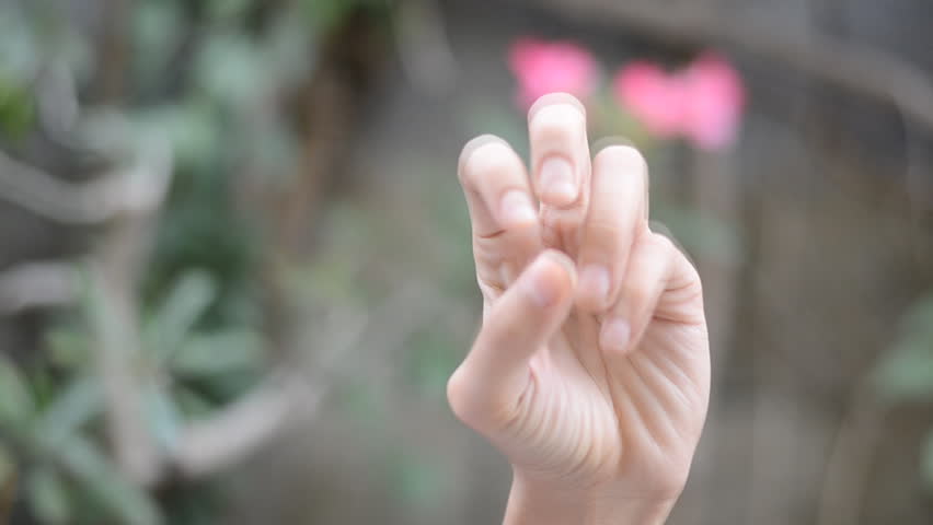 Header of American Sign Language