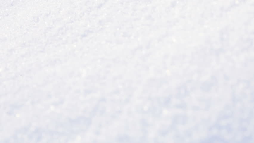 снежная зима. снежная страница. сказочный зимний лес. зимняя деревня мультяшная. снежная красота зимы.