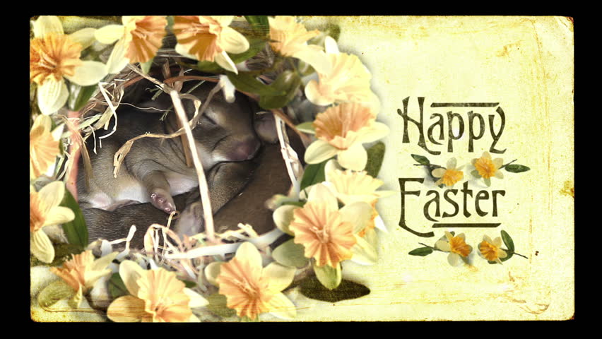 Easter Video Card Vintage Style Stock Footage Video 100