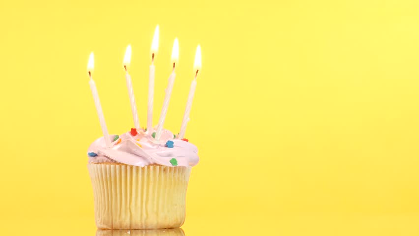 tasty birthday cupcake with one stock footage video 100 royalty birthday cupcake background