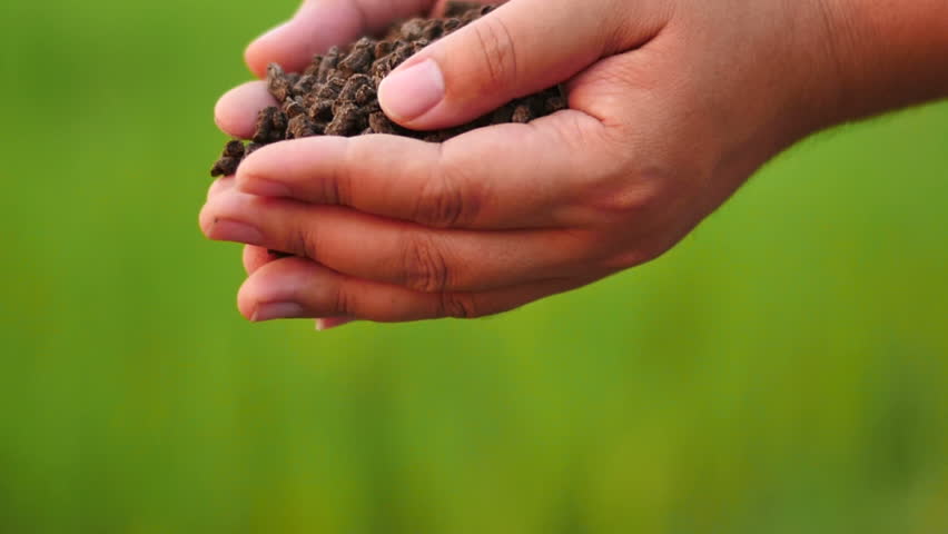 Stock video of farmer hand pouring organic dry compost | 9025339 ...