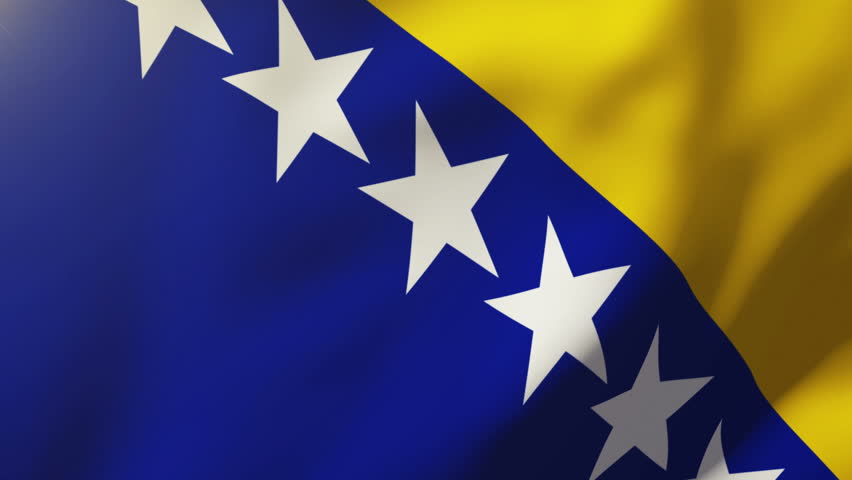 Image result for bosnia flag