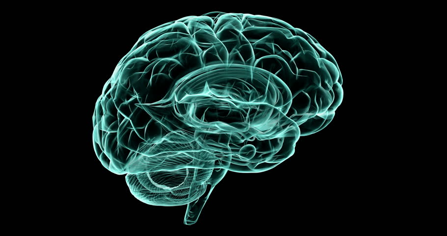 NTSC - A Rotating Human Brain Electrically Charged With Thought (Loop ...