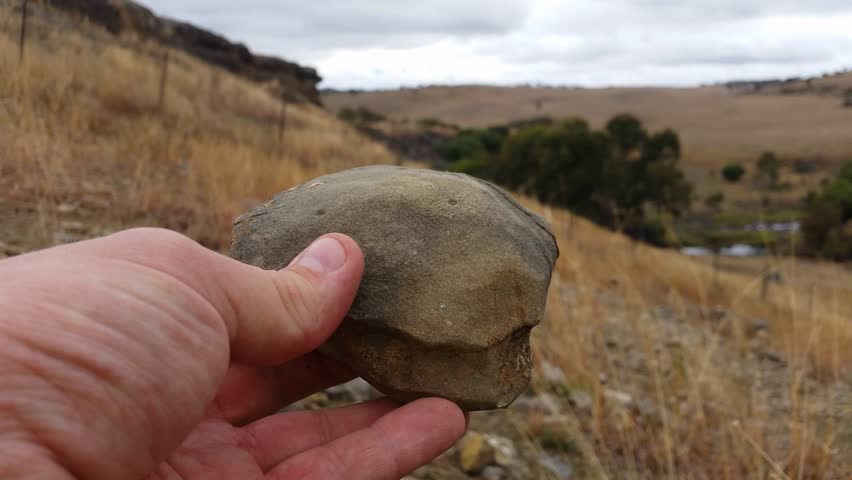 paleontology dig