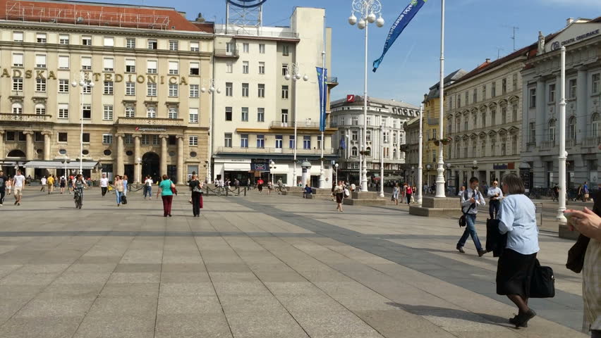 1080P Hd Video Download Pigeon (2015) 